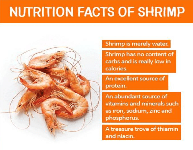 Calories in Shrimp