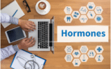 bioidentical hormones vs synthetic