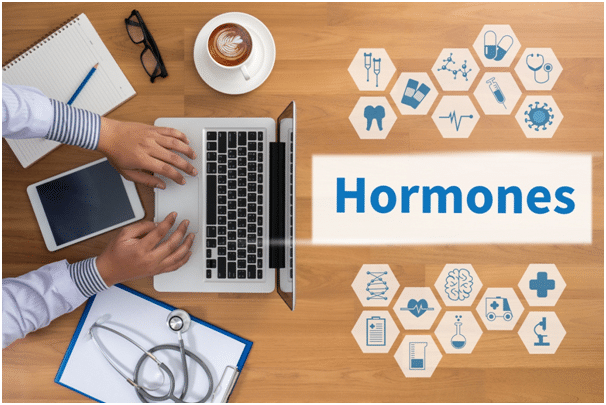 bioidentical hormones vs synthetic